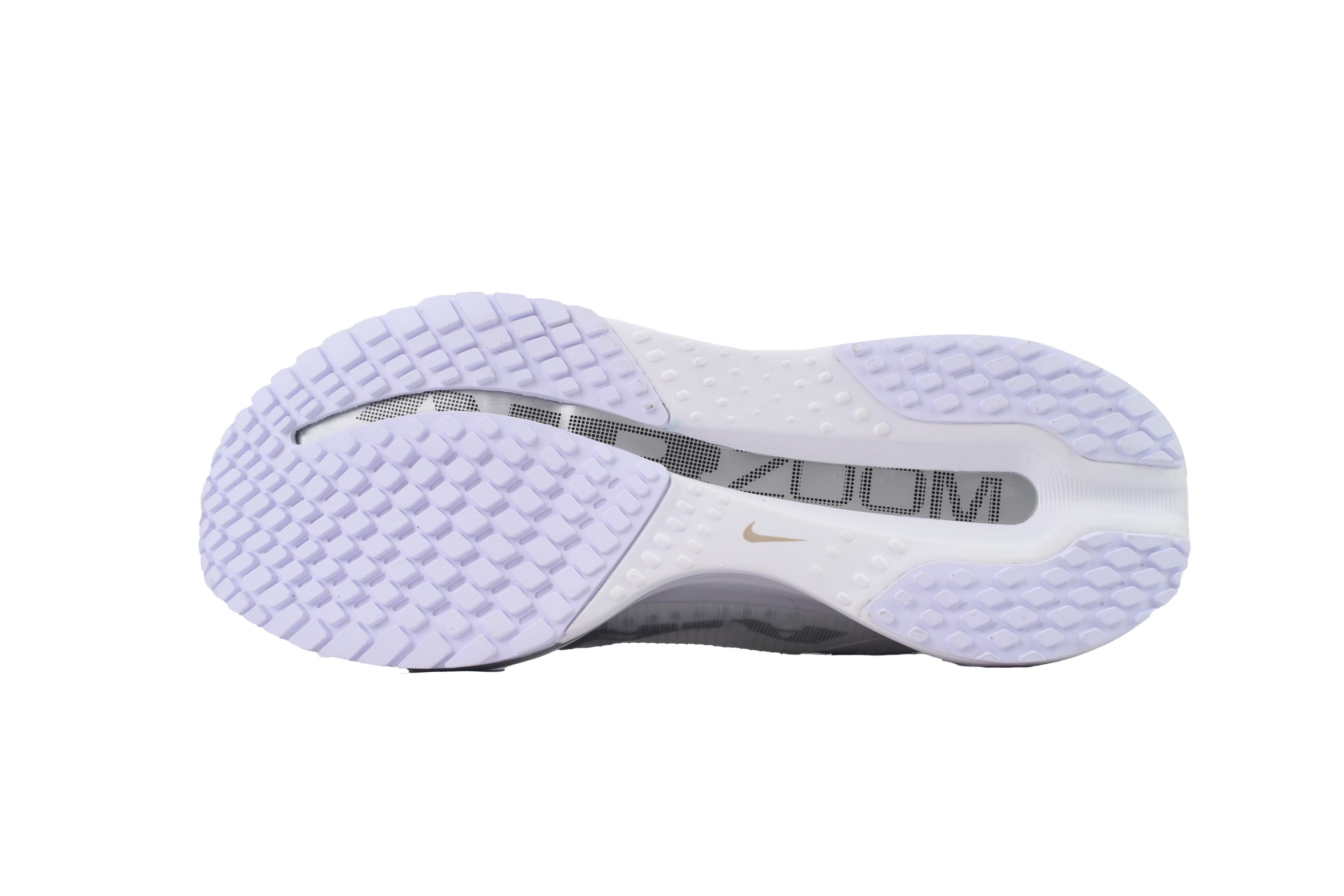 Nike Pegasus Premium White Metallic Silver HQ2592-102