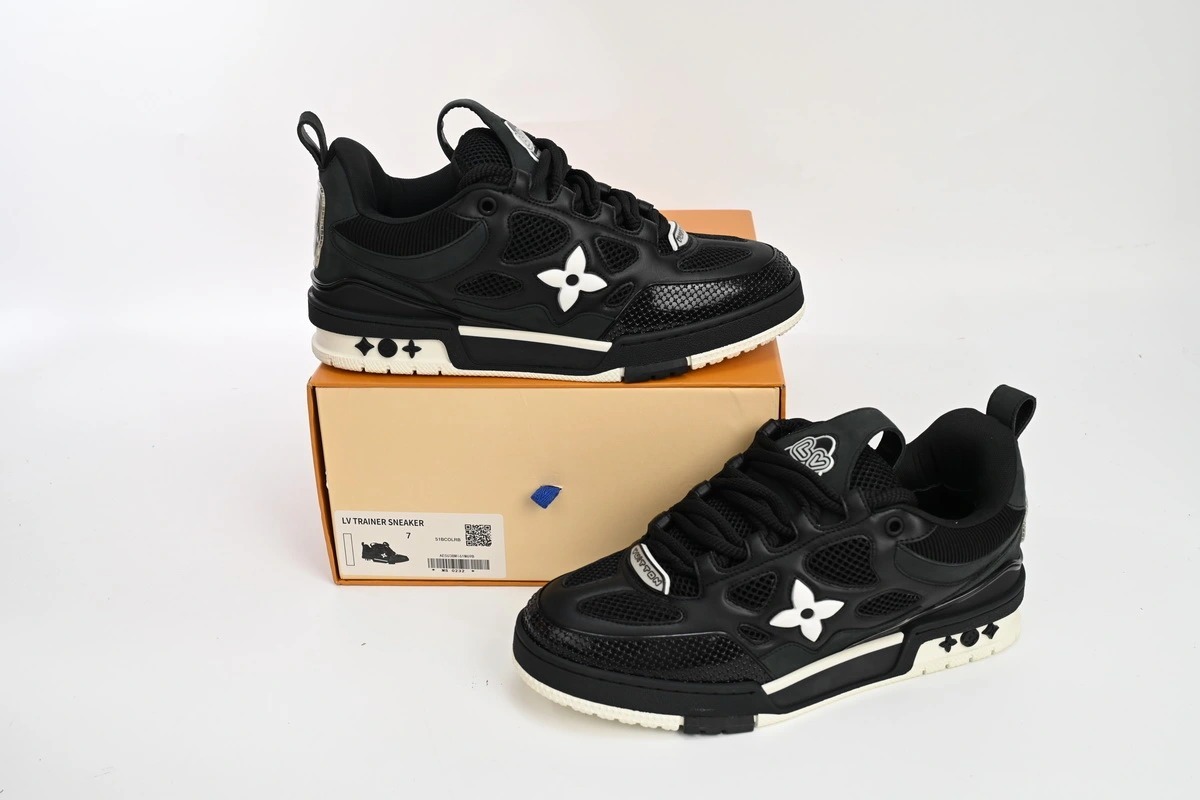 Louis Vuitton Skate Sneaker Black White 1AARR1