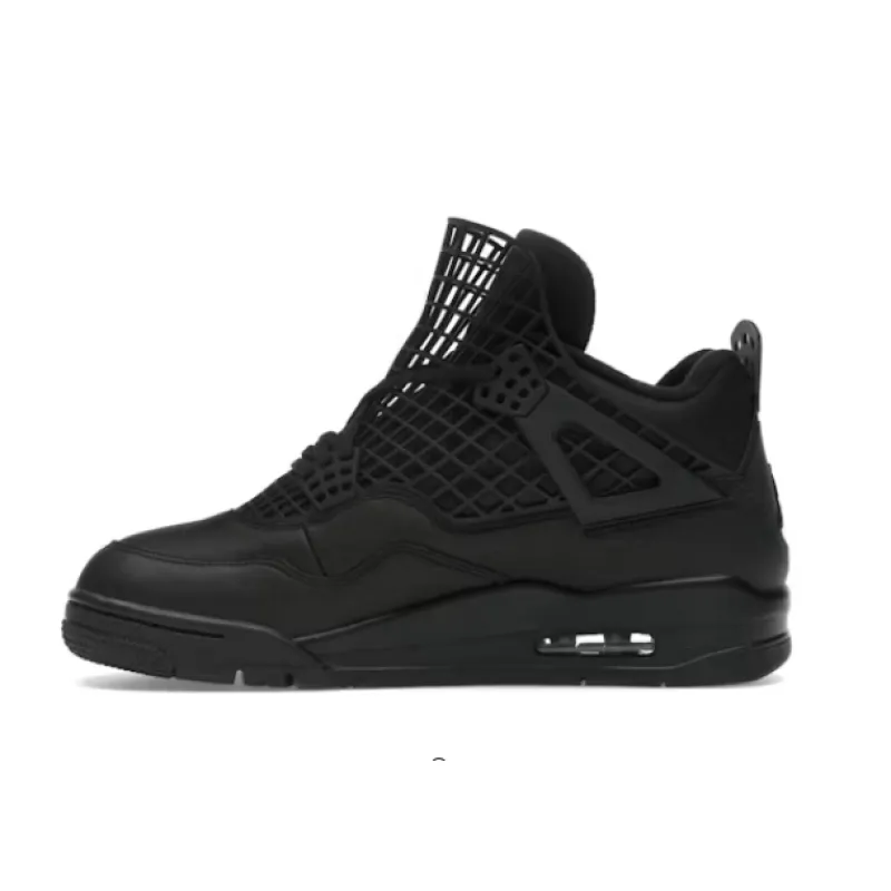 Jordan 4 Retro Net Black FN7251-001