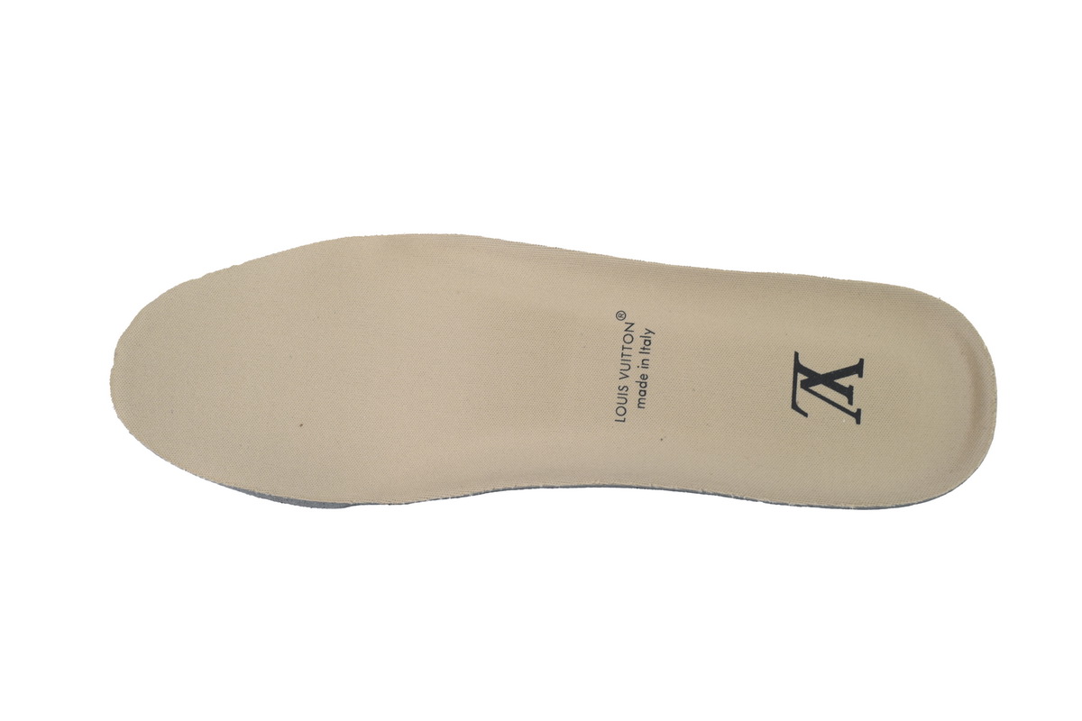 Louis Vuitton Trainer Brown Small Embossing